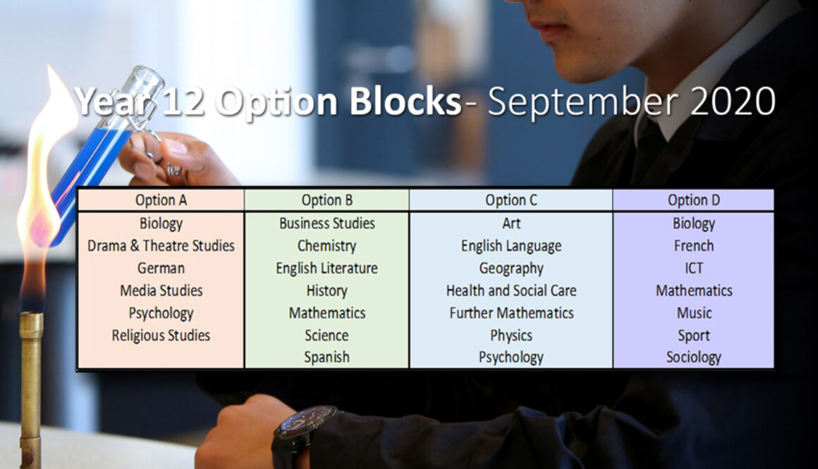 Year 12 OPTION BLOCKS graphic NP for SMcD